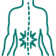 back (1)